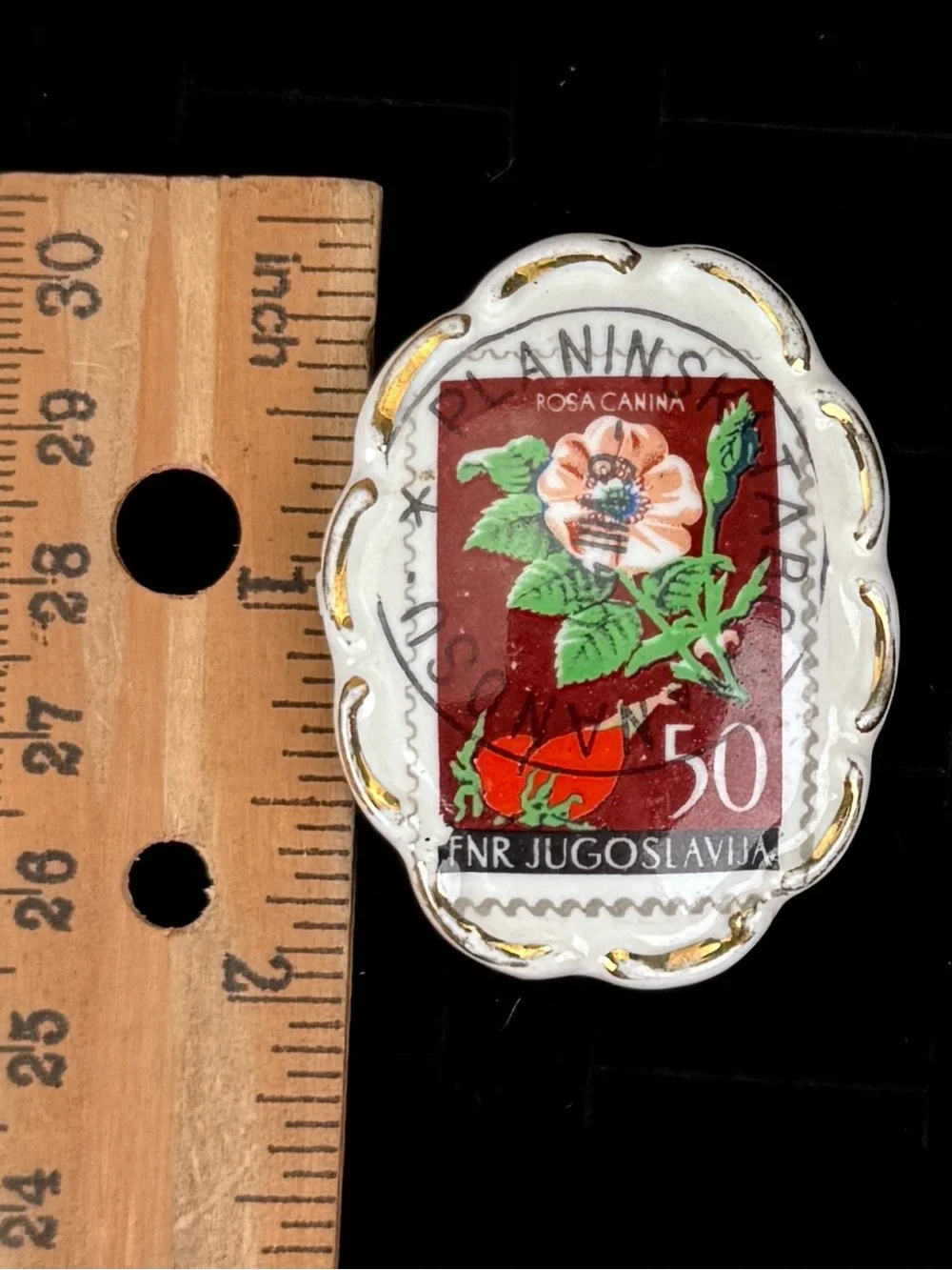 Vintage Yugoslavia Rosa Canina Postage Stamp Botanical Brooch Dual Prong